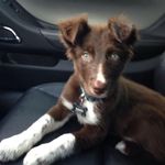 Dean Doherty - @dukedoherty - Instagram