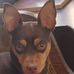 Dean Dorman - Facebook