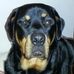 Dean Doughty - Facebook