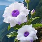 Dean Edgar - Facebook
