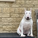 Dean Farrell - @dean.farrell.547 - Instagram