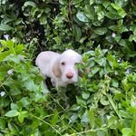 Dean Fields - @deanfields_ - Instagram
