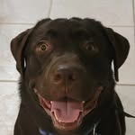Dean Flagg - @flaggdean - Instagram
