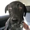 Dean Fleming - @mr.lewisstaysquiet - TikTok