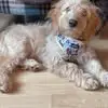 Dean Suffolk - @dean.suffolk - TikTok