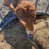 Dean Friel - @dean.friel - TikTok