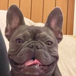 Dean Franks - @franks3614 - Instagram