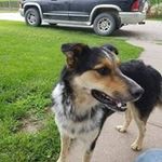 Dean Frederick - @frederick6680 - Instagram