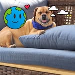 Dean Galbraith - @dwgalbraith66 - Instagram