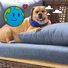 Dean Galbraith - @dean.galbraith2 - TikTok