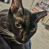Deanie Gallimore - @deanie.gallimore - TikTok