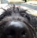 Dean Gamble - Facebook