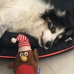Dean Gamble - @deangamble42 - Instagram