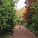 The Dean Gardens 🏴󠁧󠁢󠁳󠁣󠁴󠁿 - @dean_gardens - Instagram