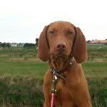 Dean Gerken - @dinogerken22 - Instagram