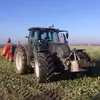 daangeschiere - @daangeschiere - TikTok