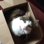 Dean Giles - @deangiles_13 - Instagram