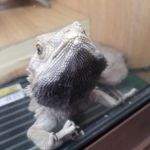 Dean Giles - @dean.giles.121 - Instagram