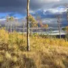 Dean Giles - @dean.giles1 - TikTok