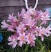 Dean Gilkerson - Facebook