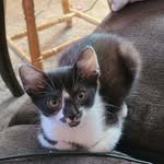 Dean Gill - @deangill58 - Instagram