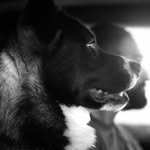 Dean Gill - @dean_thepup - Instagram