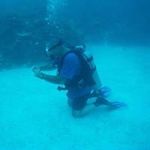 Dean Gilmore - @family_dive_center3 - Instagram