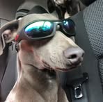 Dean Goben - Facebook