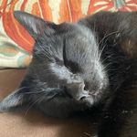 Dean Goff - @deangoff5 - Instagram