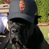 Carlos Gonzalez - @deangonzalez - TikTok