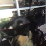 Dean Gonzalez - @thedancingcactus - Instagram