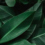 caleb dean goodrich - @calebdeangoodrich - Instagram