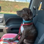 BogeyFree - @dean.goolsby - Instagram