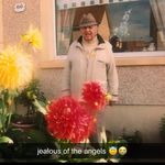 Dean Gower - @deangower23 - Instagram