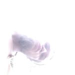 Dean Gower - @barefootshaman - Instagram
