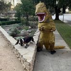 Dean Guzman - Facebook