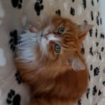 Dean Hallam - Facebook