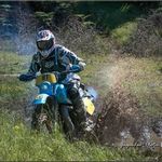 Dean Harding - @dean.harding.752 - Instagram