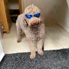 dean harding - @deanharding012 - TikTok