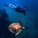 Dean Hardy - @deanhardy01 - Instagram