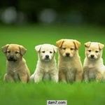 Dean Hardy - @appguysdean - Instagram