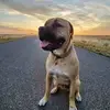 Dean Higgins - @dean.higgins4 - TikTok