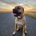 Dean Higgins - @higgins.dean - Instagram