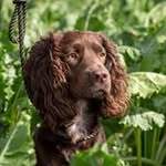 Dean Holdsworth - @deanholdsworth - Instagram