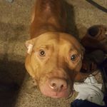 Dean Horton - @dean.horton.334 - Instagram
