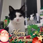 Dean Horton - @deanhorton68 - Instagram
