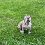Dean Horton - @deano123452021 - Instagram