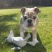 Dean Horton - Facebook