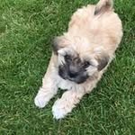 Dean Huston - @dean_huston - Instagram