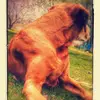 deanhutson676 - @deanhutson676 - TikTok
